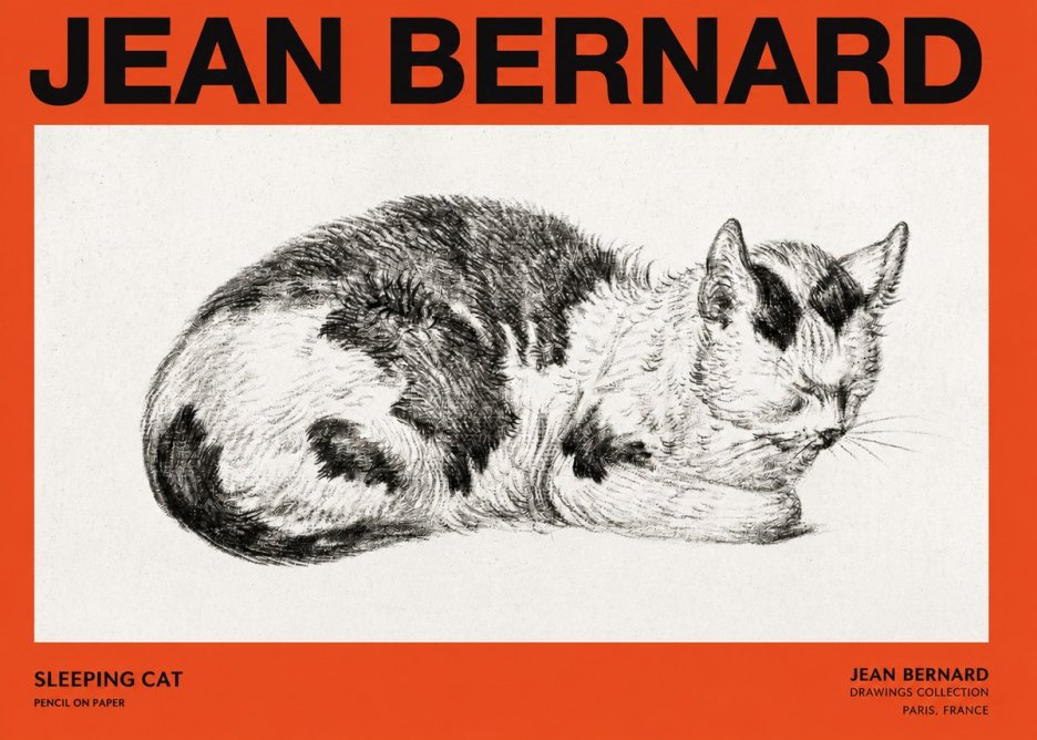 Jean Bernard Sleeping Cat I No2 - Poster