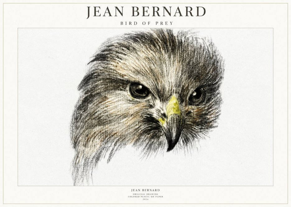 Jean Bernard Bird of Prey No1 - Poster