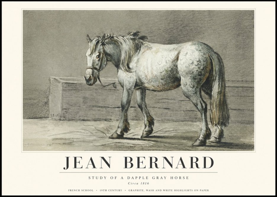 Jean Bernard Study of a Dapple Gray Horse No3 - Poster