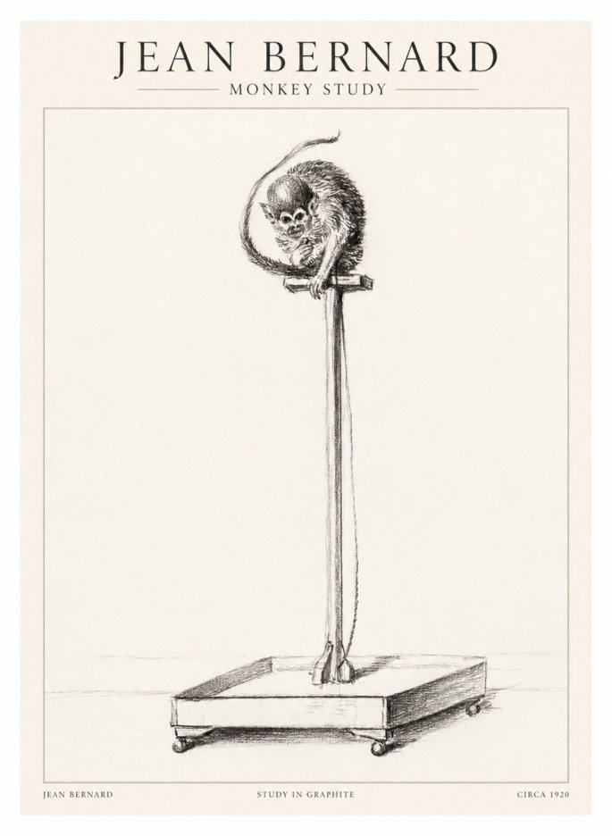 Jean Bernard Monkey Study No1 - Poster