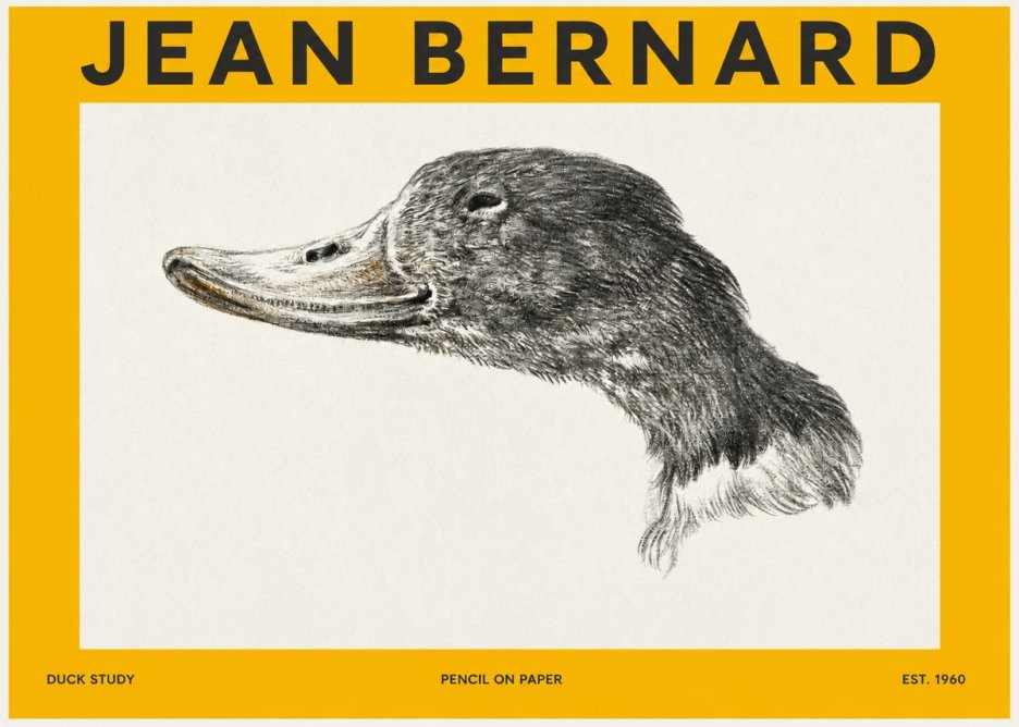 Jean Bernard Study of a Duck No3 - Poster