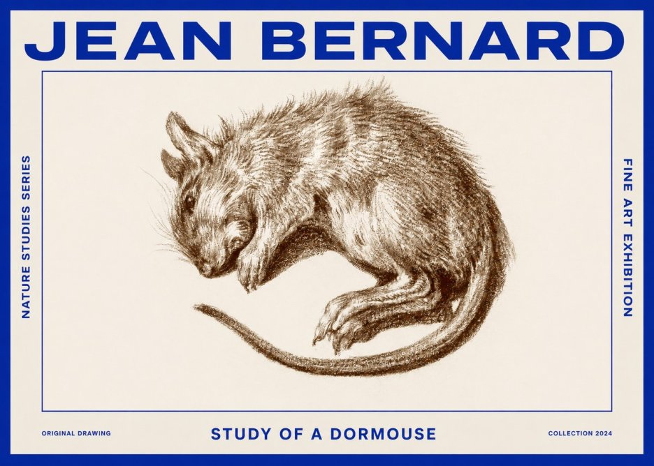 Jean Bernard Study of a Dormouse No2 - Poster