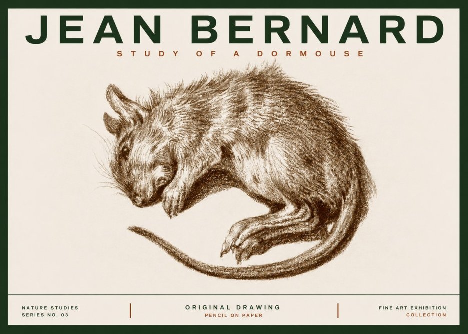 Jean Bernard Study of a Dormouse No3 - Poster
