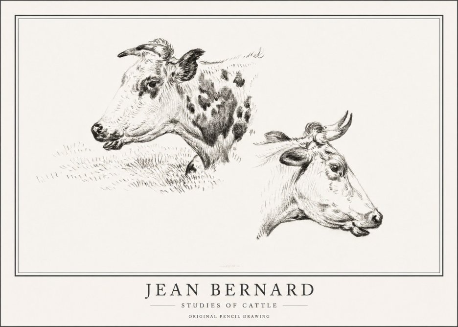Jean Bernard Studies of Cattle I No1 - Poster