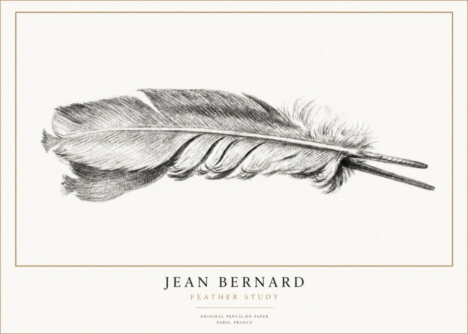 Jean Bernard Feather No3 - Poster