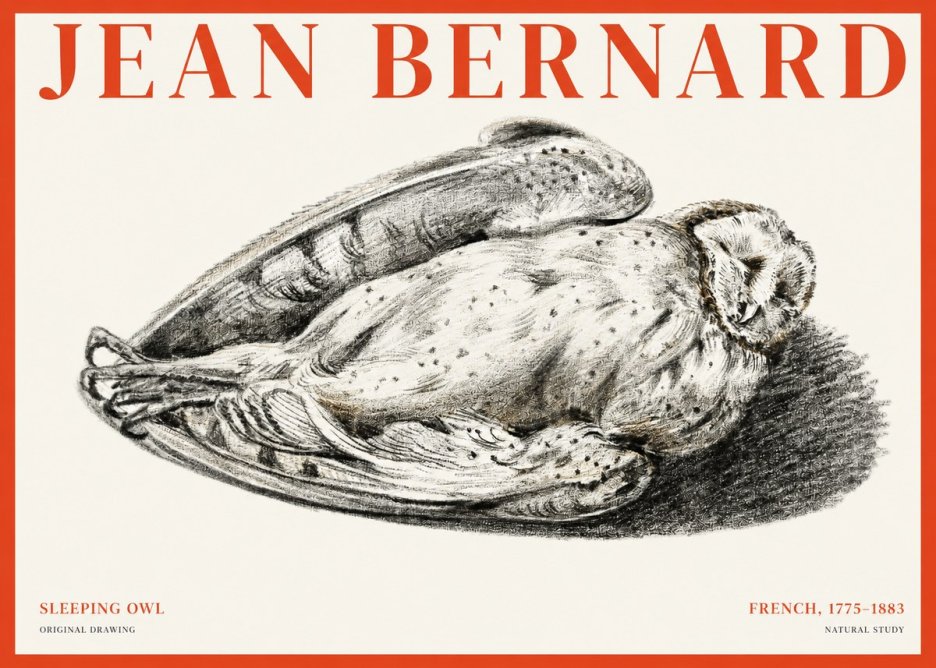 Jean Bernard Sleeping Owl No1 - Poster