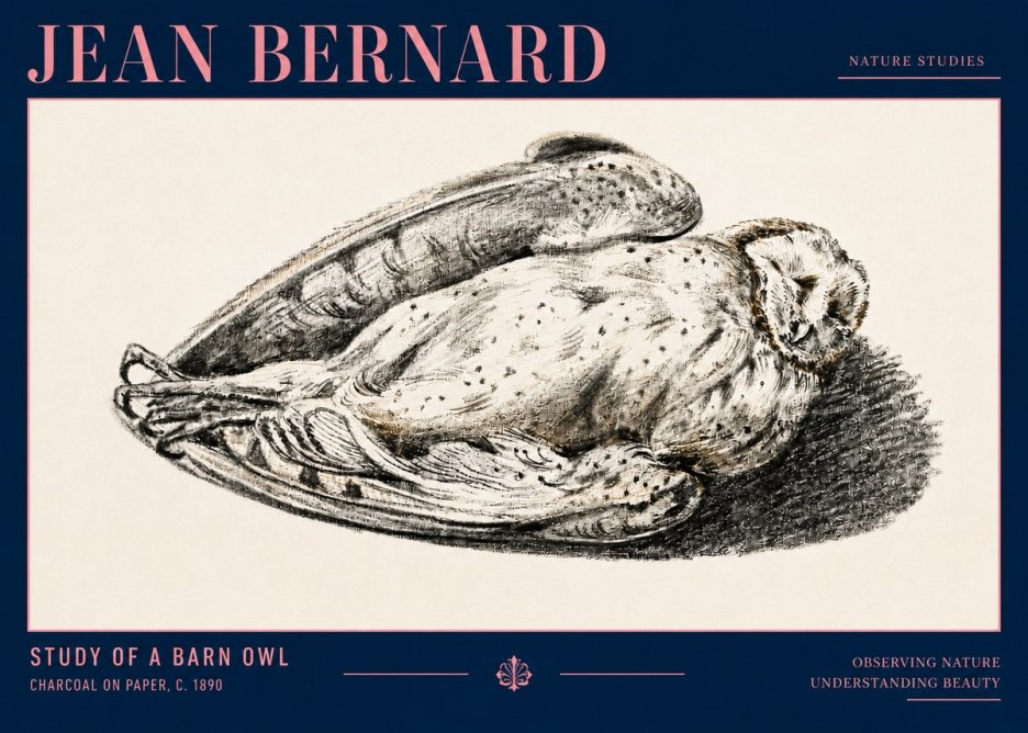 Jean Bernard Sleeping Owl No4 - Poster