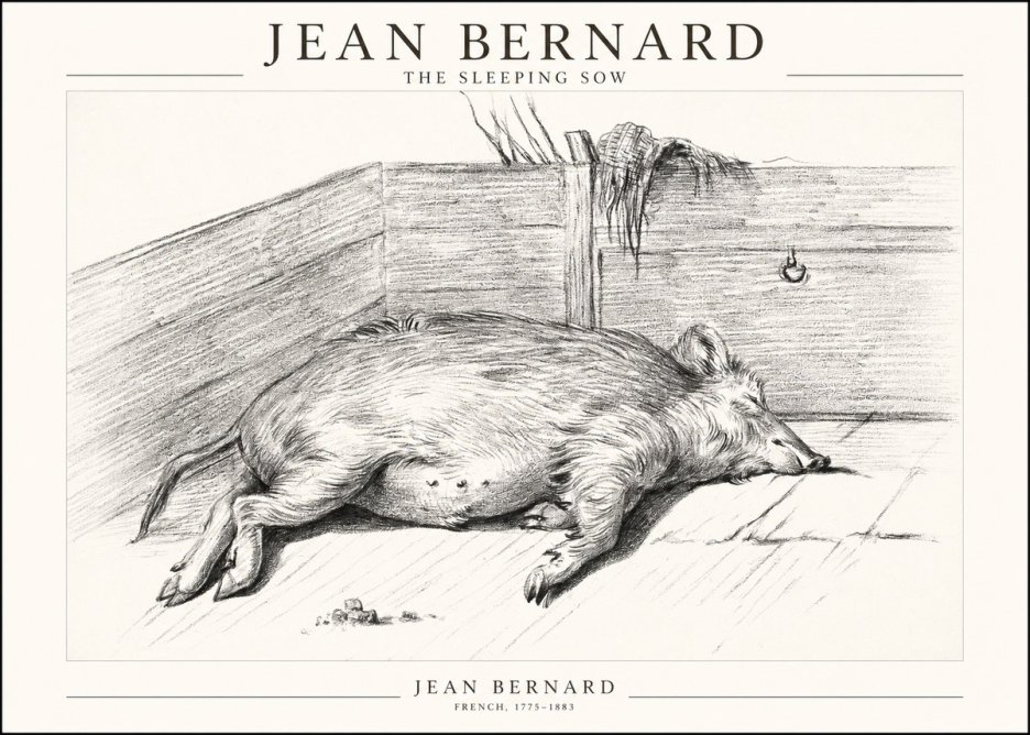 Jean Bernard The Sleeping Sow No1 - Poster