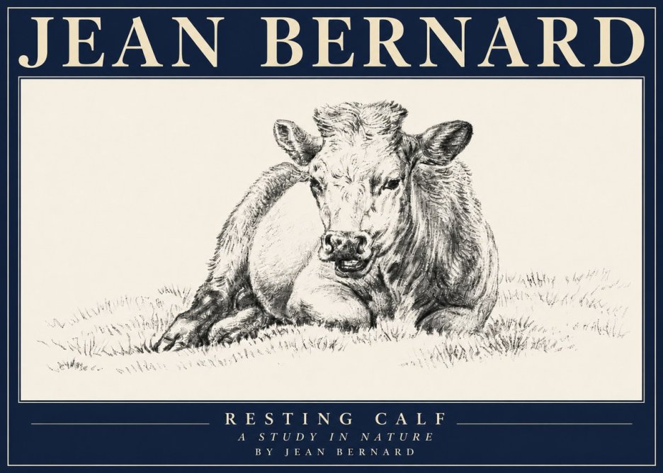 Jean Bernard Resting Calf I No4 - Poster