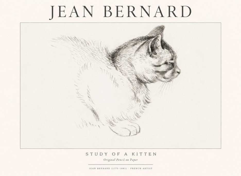 Jean Bernard Study of a Kitten II No1 - Poster