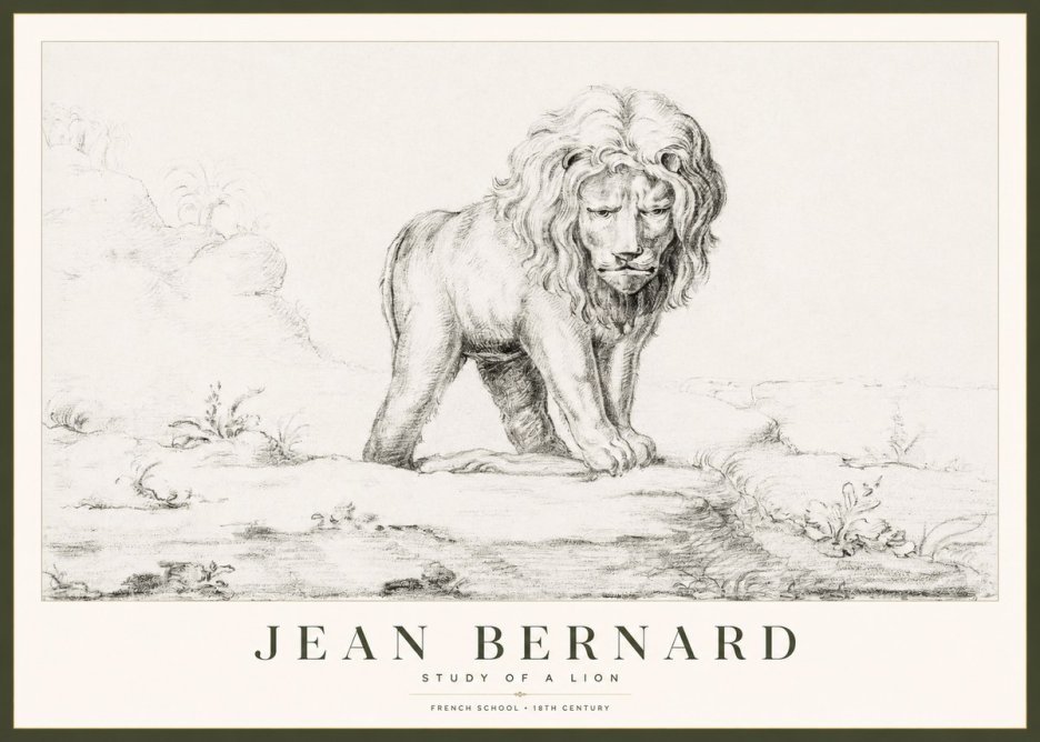 Jean Bernard Study of a Lion I No1 - Poster