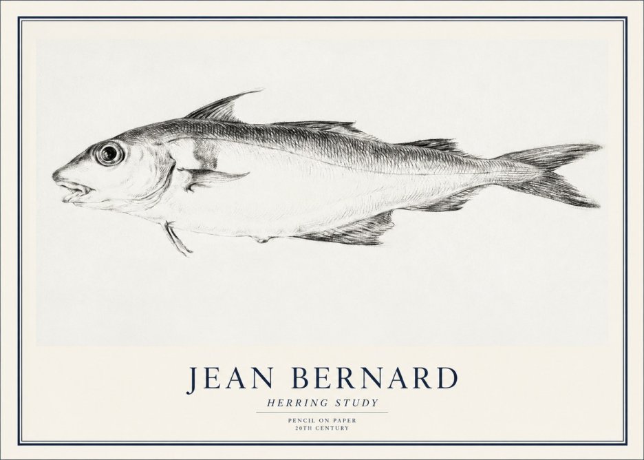 Jean Bernard Herring Study No1 - Poster