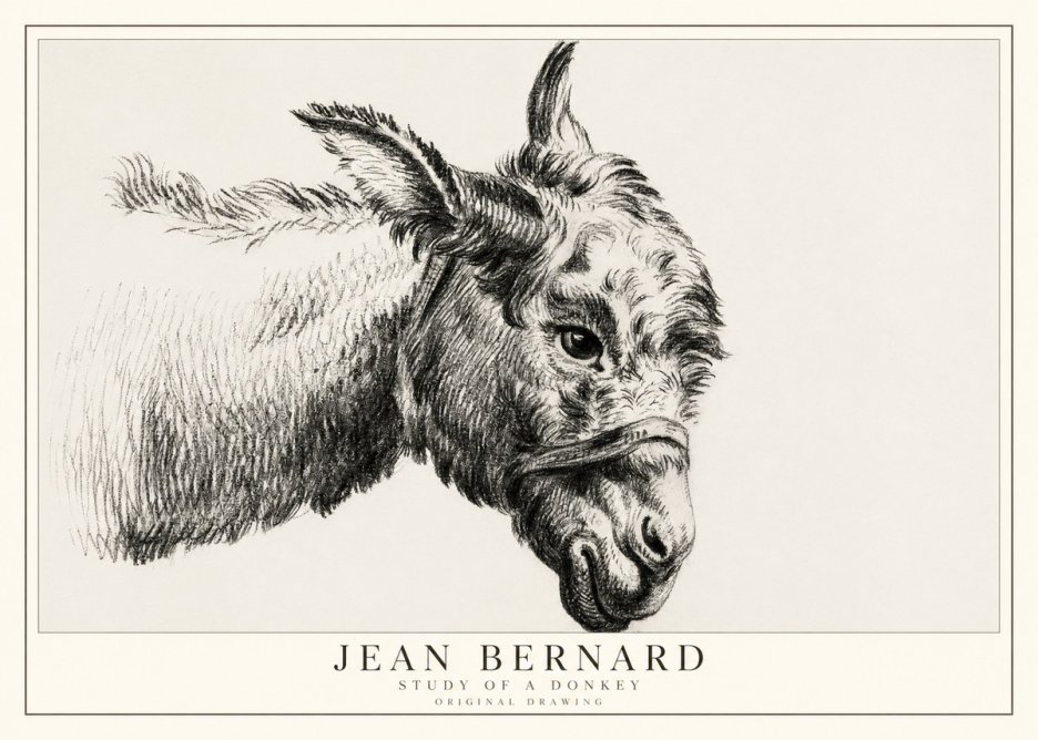 Jean Bernard Study of a Donkey I No1 - Poster