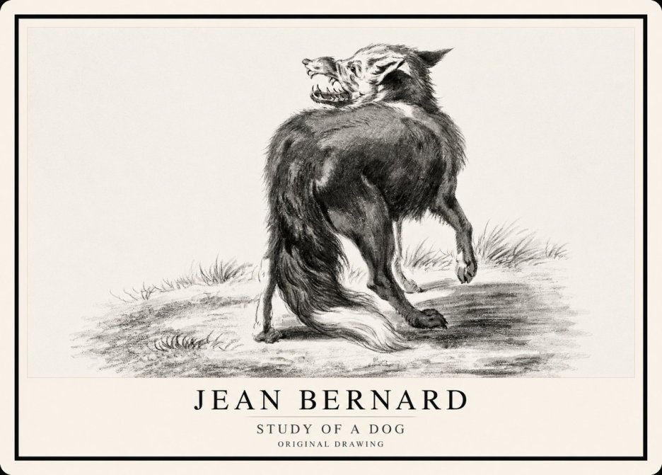 Jean Bernard Study of a Dog II No1 - Poster