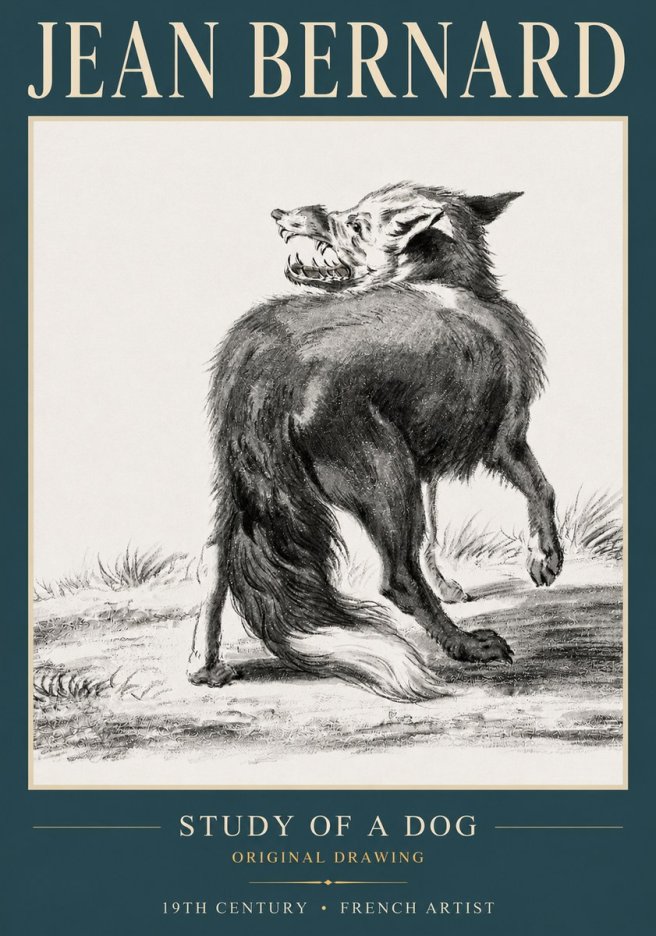 Jean Bernard Study of a Dog II No3 - Poster