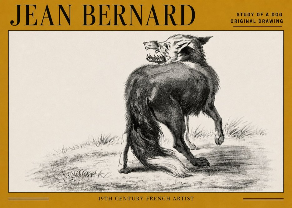 Jean Bernard Study of a Dog II No5 - Poster