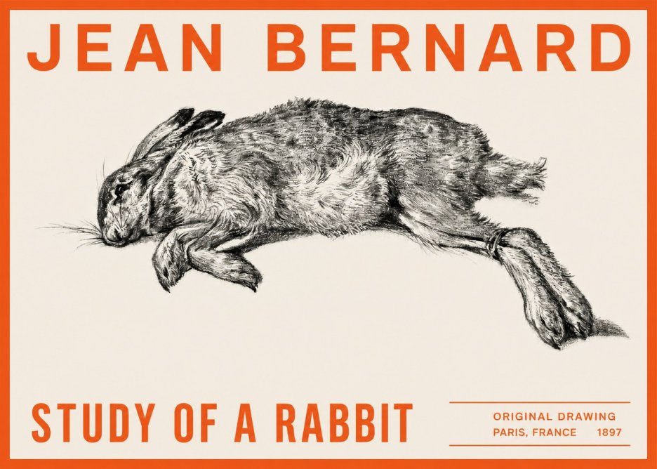 Jean Bernard Study of a Rabbit No2 - Poster