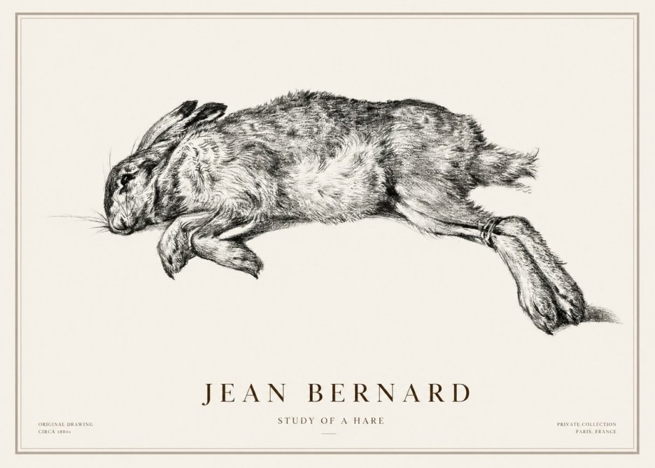 Jean Bernard Study of a Rabbit No3 - Poster