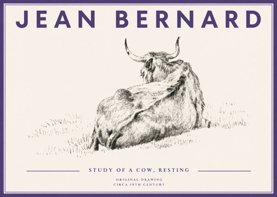 Jean Bernard Resting Bovine - Study in Graphite No5 - Poster