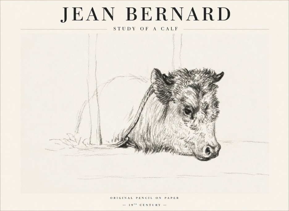Jean Bernard Study of a Calf I No1 - Poster