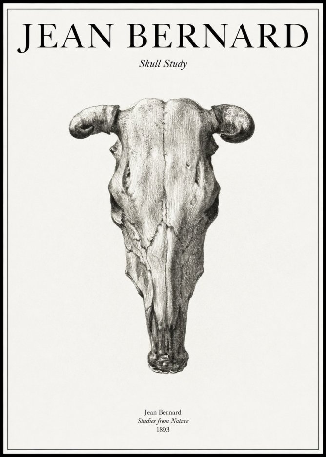 Jean Bernard Skull Study No1 - Poster