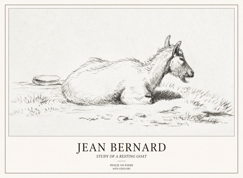 Jean Bernard Study of a Resting Goat No2 - Poster