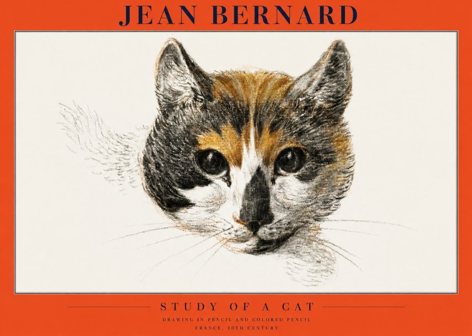 Jean Bernard Study of a Cat II No2 - Poster