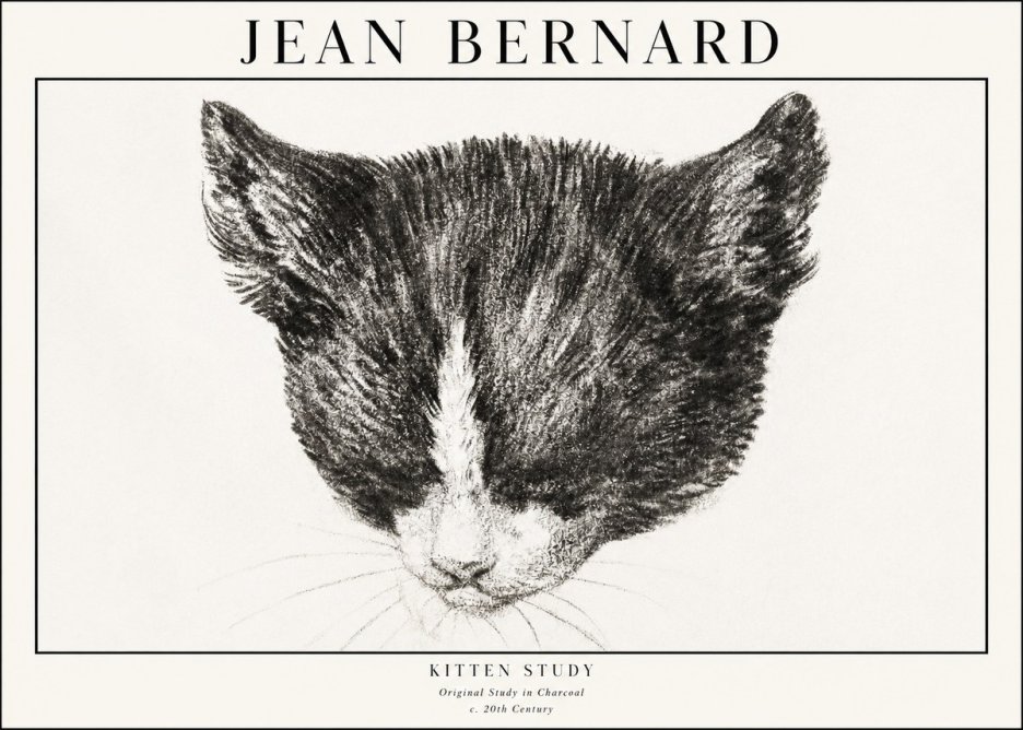 Jean Bernard Cat Study V No4 - Poster