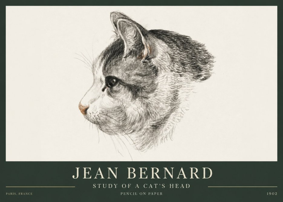 Jean Bernard Cat Study, Profile No4 - Poster