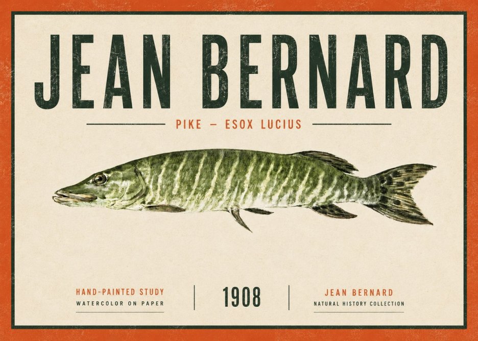Jean Bernard Northern Pike No6 - Poster