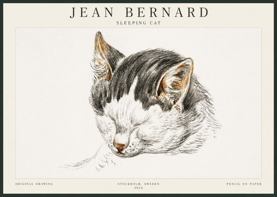 Jean Bernard Sleeping Cat V No3 - Poster