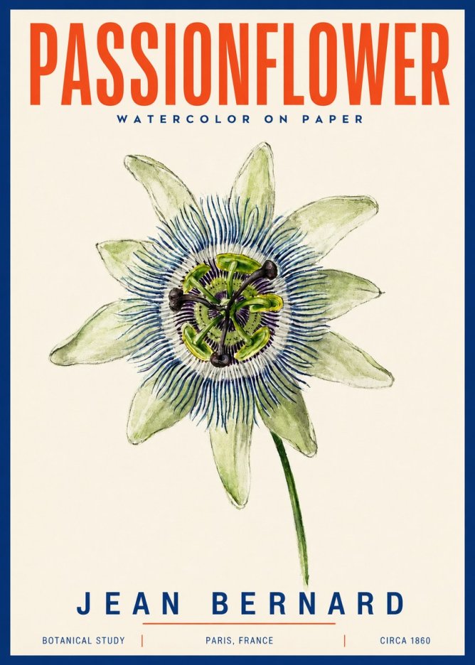 Jean Bernard Passionflower No4 - Poster