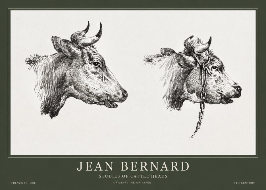 Jean Bernard Studies of Cattle Heads No1 - Poster