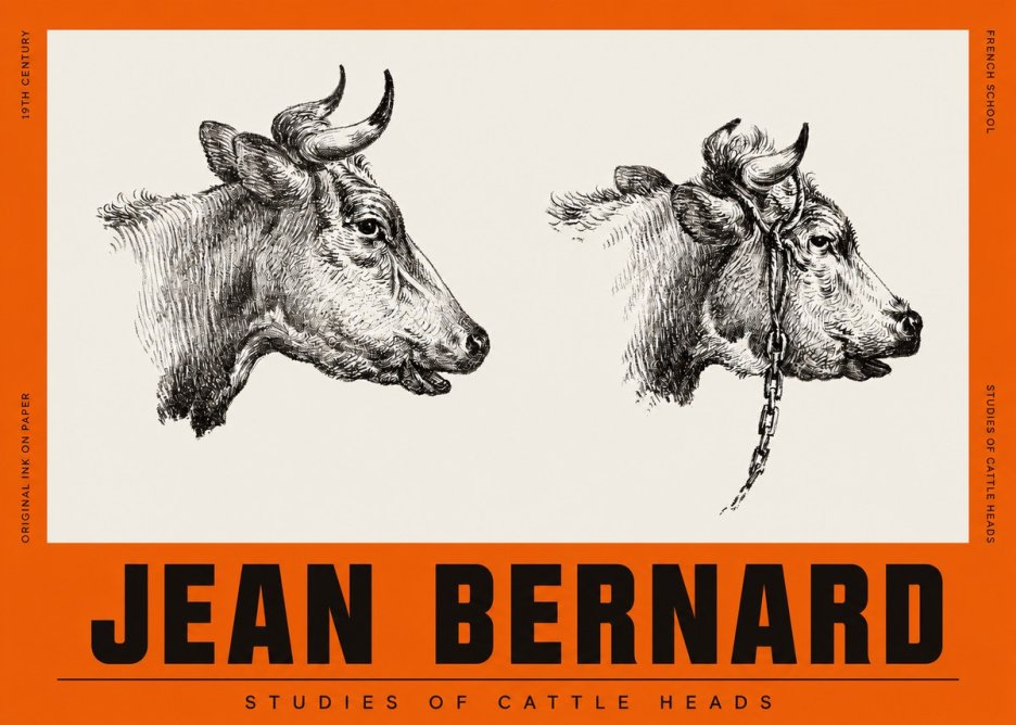 Jean Bernard Studies of Cattle Heads No2 - Poster