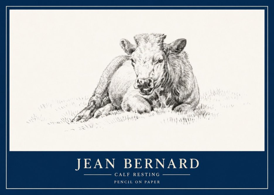 Jean Bernard Calf Resting No3 - Poster