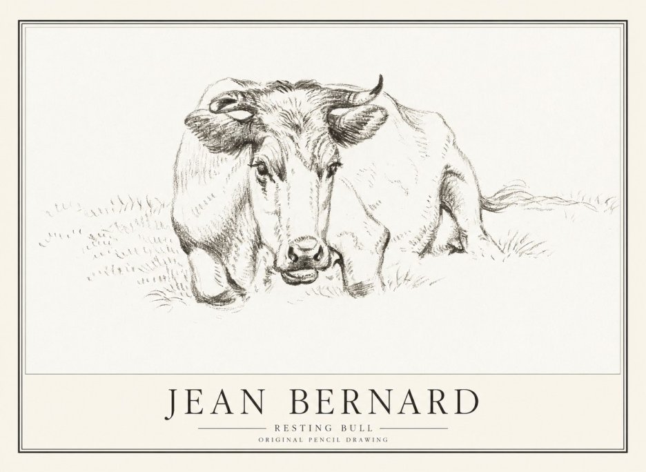 Jean Bernard Resting Cow II No4 - Poster