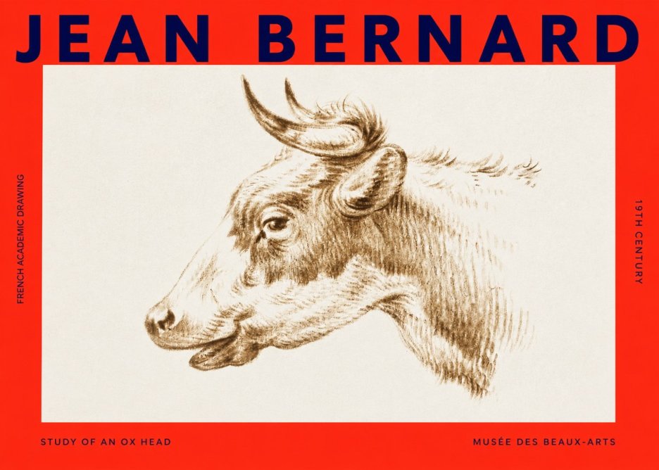 Jean Bernard Bovine Study II No4 - Poster