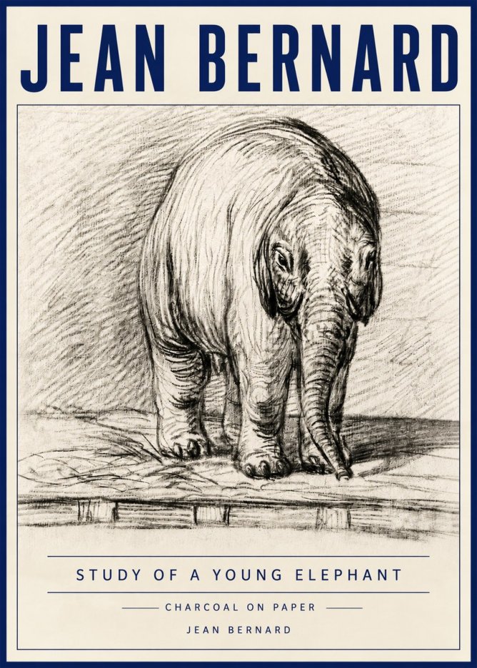 Jean Bernard Young Elephant No6 - Poster