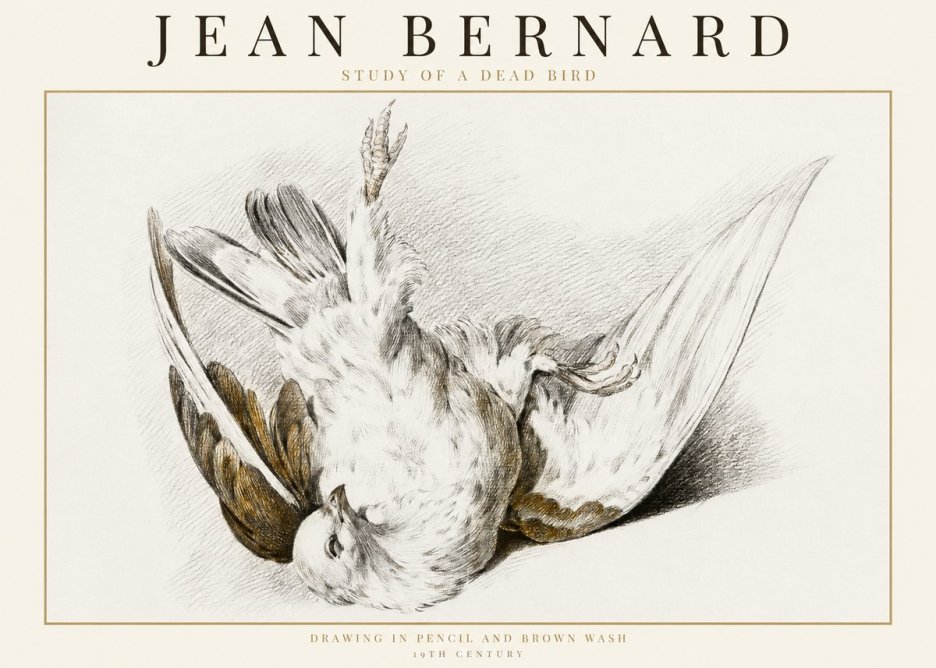 Jean Bernard Study of a Dead Bird No1 - Poster