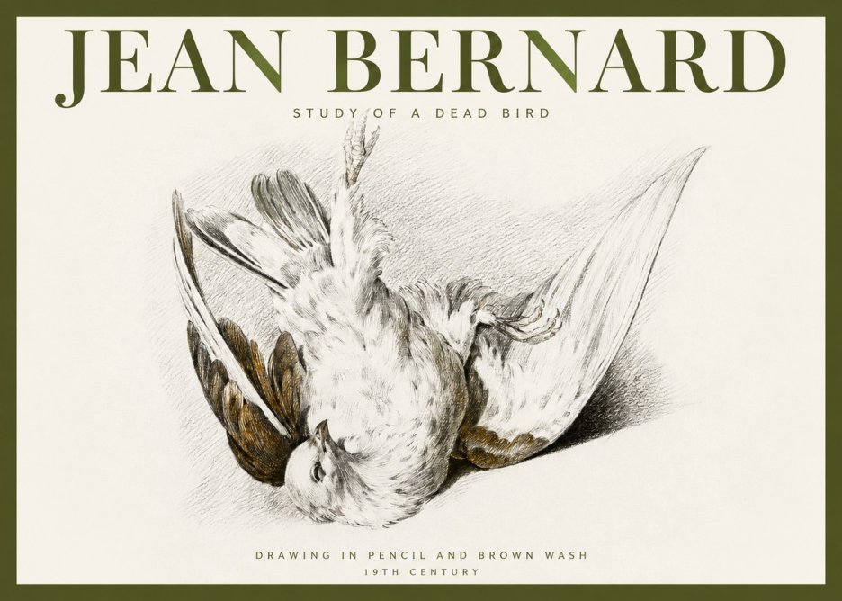 Jean Bernard Study of a Dead Bird No2 - Poster