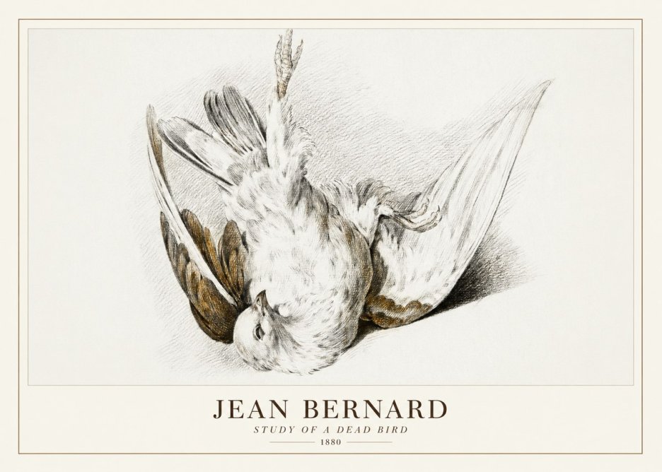 Jean Bernard Study of a Dead Bird No3 - Poster