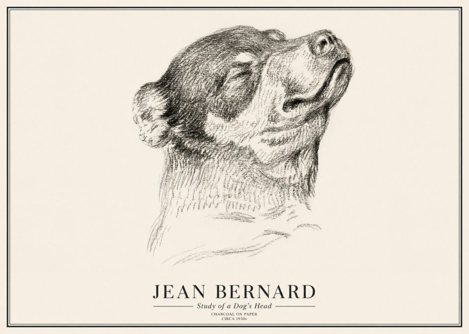 Jean Bernard Study of a Dog III No3 - Poster