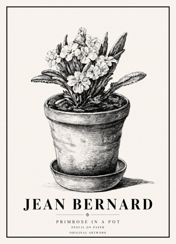 Jean Bernard Potted Primrose No6 - Poster