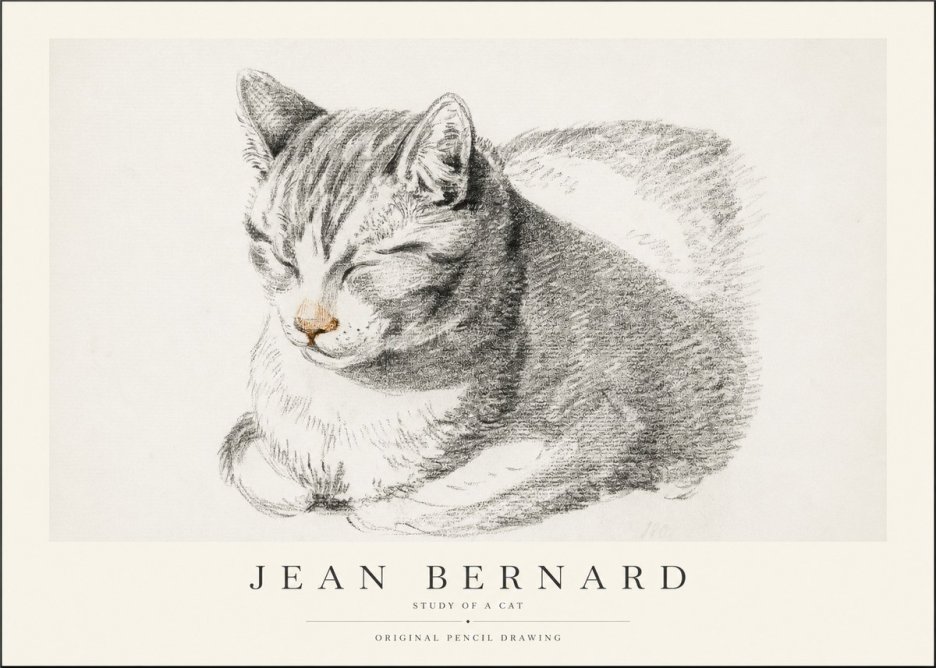 Jean Bernard Sleeping Cat VI No2 - Poster
