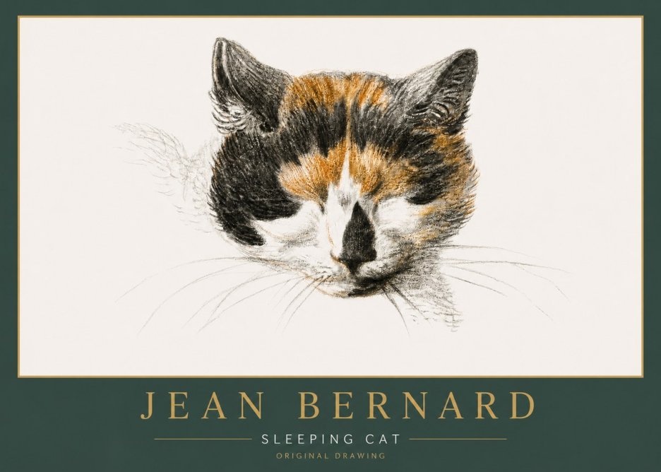 Jean Bernard Cat Study VIII No6 - Poster