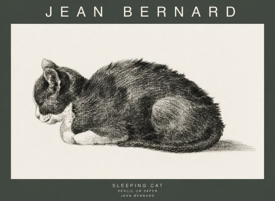 Jean Bernard Sleeping Cat VII No1 - Poster