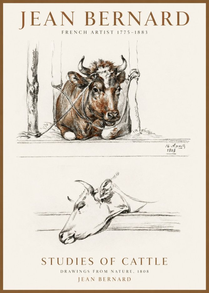 Jean Bernard Studies of Cattle III No1 - Poster