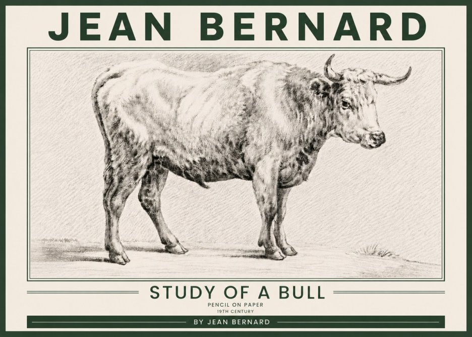 Jean Bernard Study of a Bull IV No5 - Poster