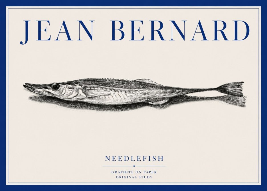 Jean Bernard Needlefish No3 - Poster