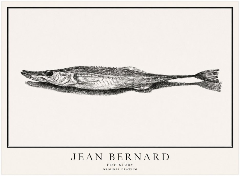 Jean Bernard Needlefish No5 - Poster